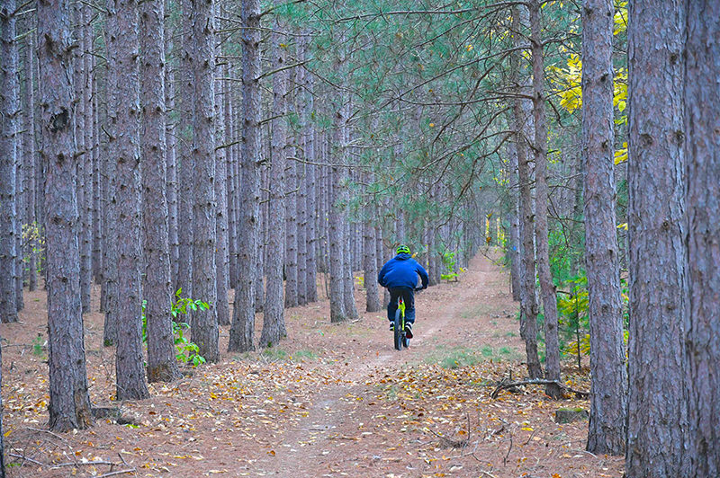 Betsie River Pathway